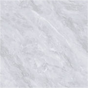 SUPER POLISH TILES-PY6007
