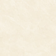 SUPER POLISH TILES-PY6008