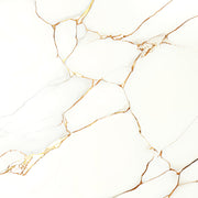 SUPER POLISH TILES-PY6020