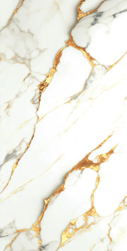 SUPER POLISH TILES-PY612029