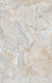 INJECT WALL TILES-RC24010