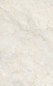 INJECT WALL TILES-RC24011