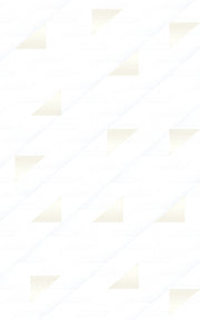 INJECT WALL TILES-RC24306C