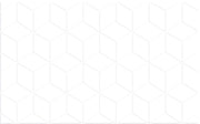 INJECT WALL TILES-RC24401Y