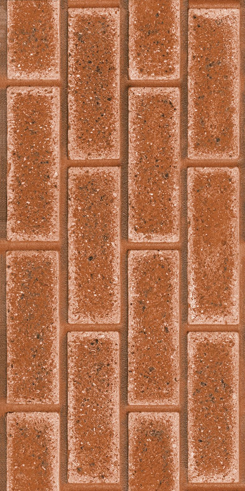 INJECT WALL TILES-RC36705F