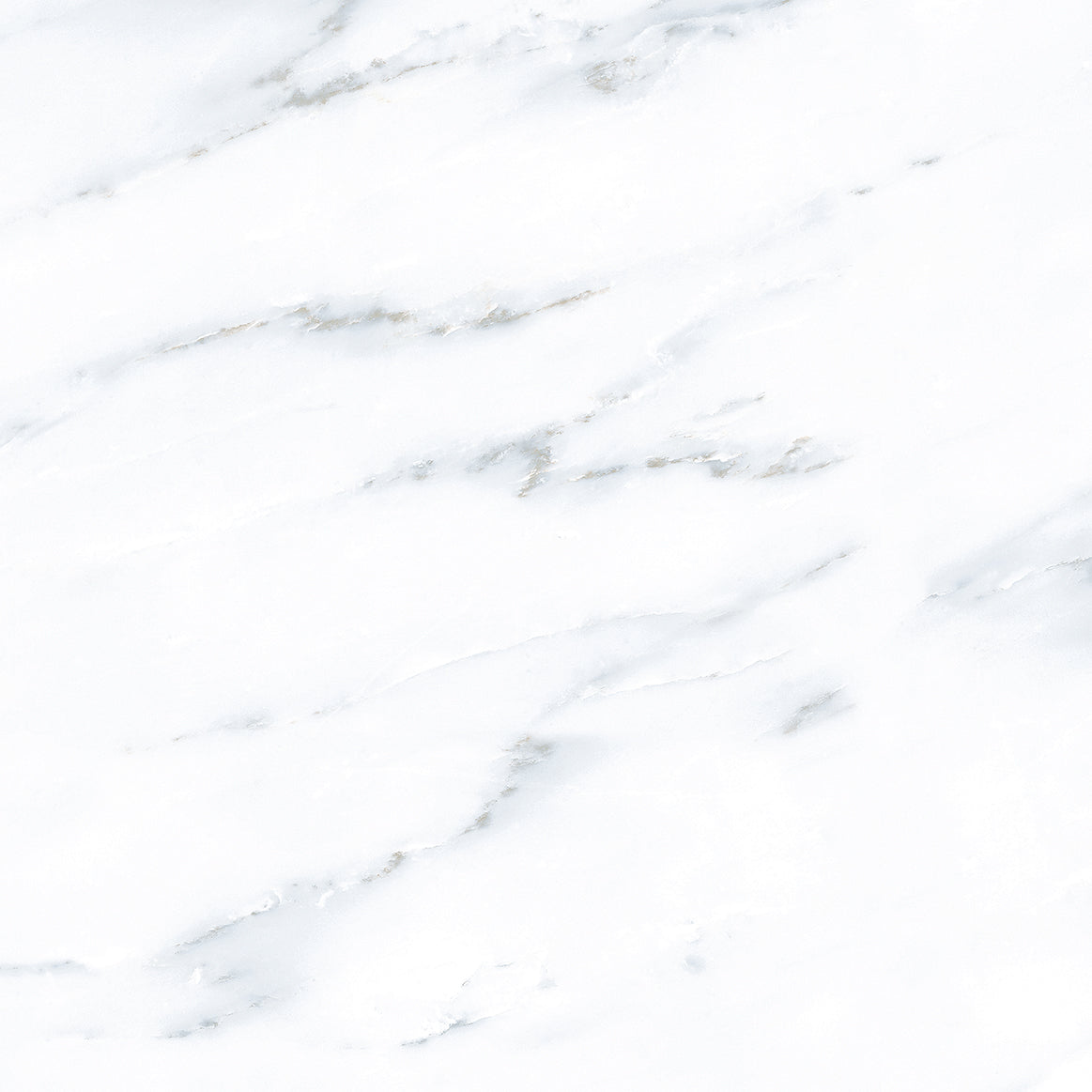 GLAZED FLOOR TILES-RC40001