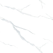 GLAZED FLOOR TILES-RC40002