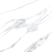 GLAZED FLOOR TILES-RC40008