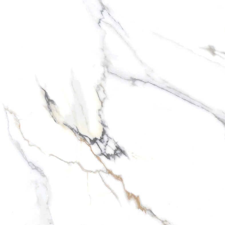 GLAZED FLOOR TILES-RC40039
