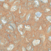 GLAZED FLOOR TILES-RC40055
