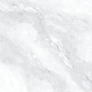 GLAZED FLOOR TILES-RC40082