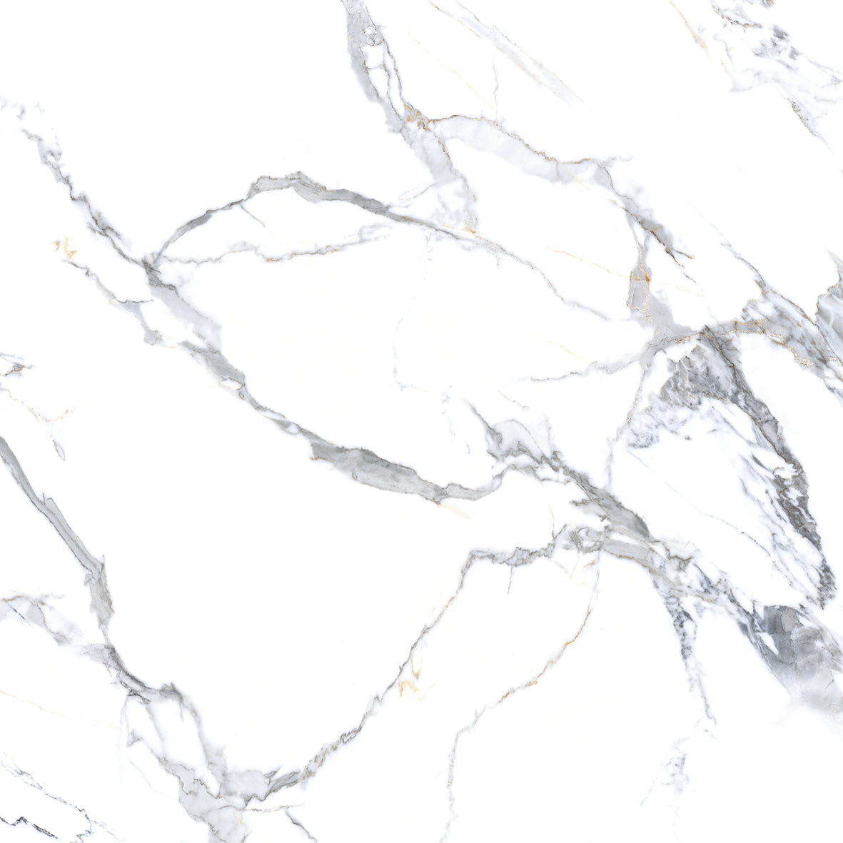 GLAZED FLOOR TILES-RC60003