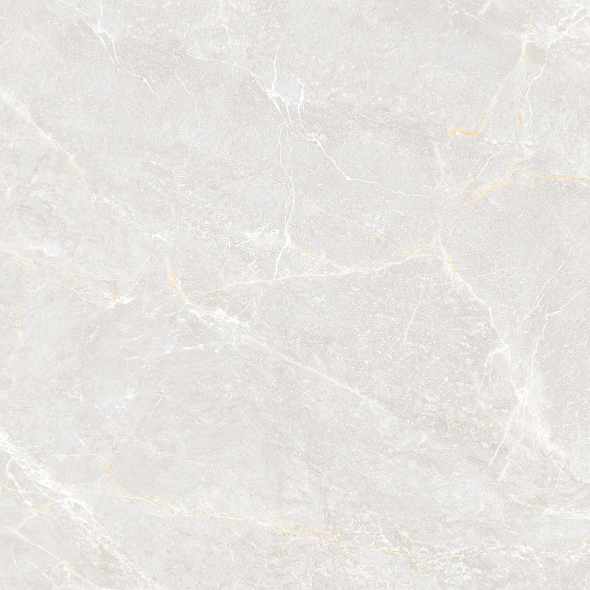 GLAZED FLOOR TILES-RC60008