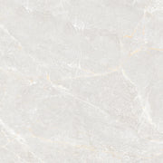 GLAZED FLOOR TILES-RC60008