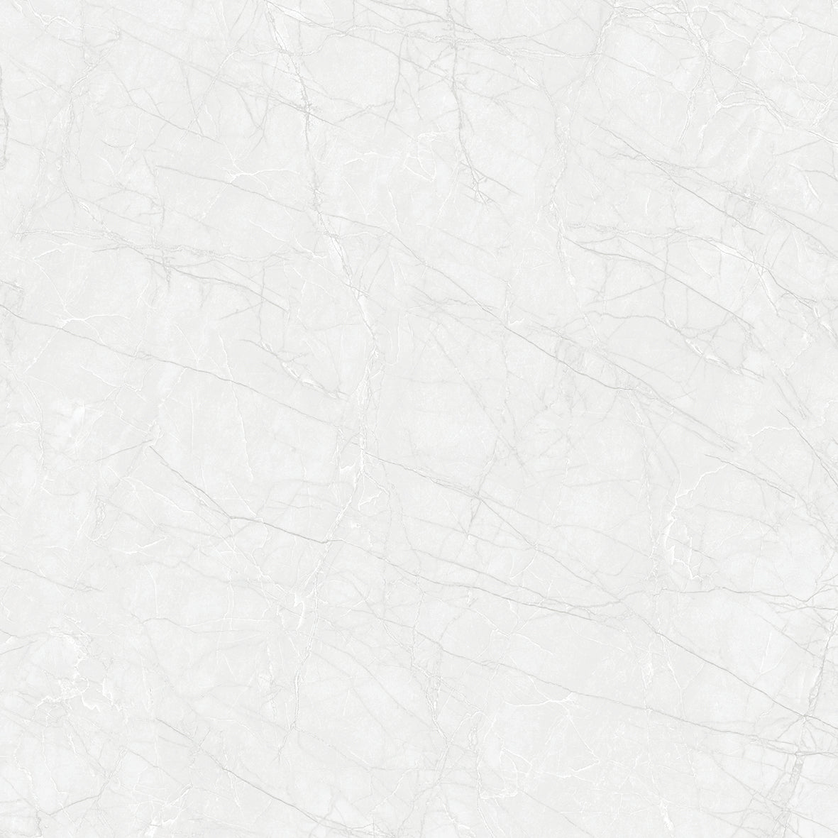 GLAZED FLOOR TILES-RC60011