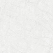 GLAZED FLOOR TILES-RC60011
