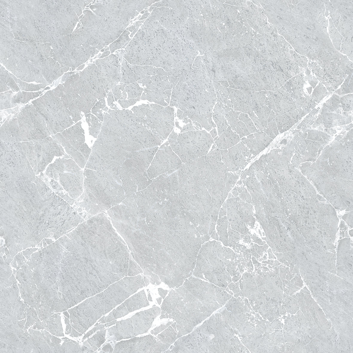 GLAZED FLOOR TILES-RC60012