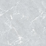 GLAZED FLOOR TILES-RC60012