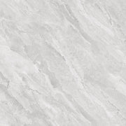 GLAZED FLOOR TILES-RC60017