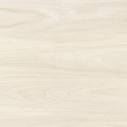 GLAZED FLOOR TILES-RC60029