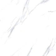 GLAZED FLOOR TILES-RC60072