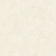 GLAZED FLOOR TILES-RC60083