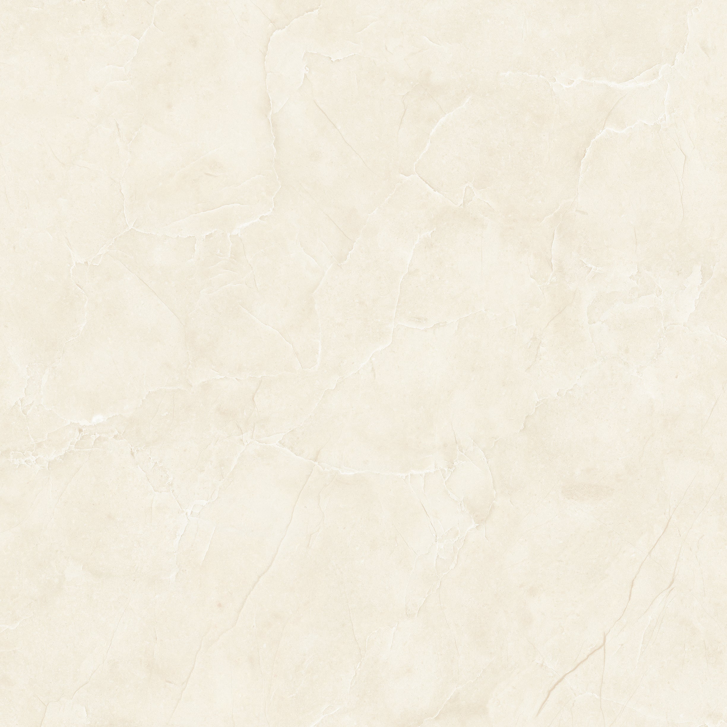 GLAZED FLOOR TILES-RC60083