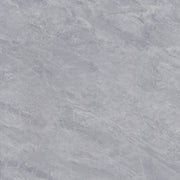 RUSTIC FLOOR TILES-RC66058F